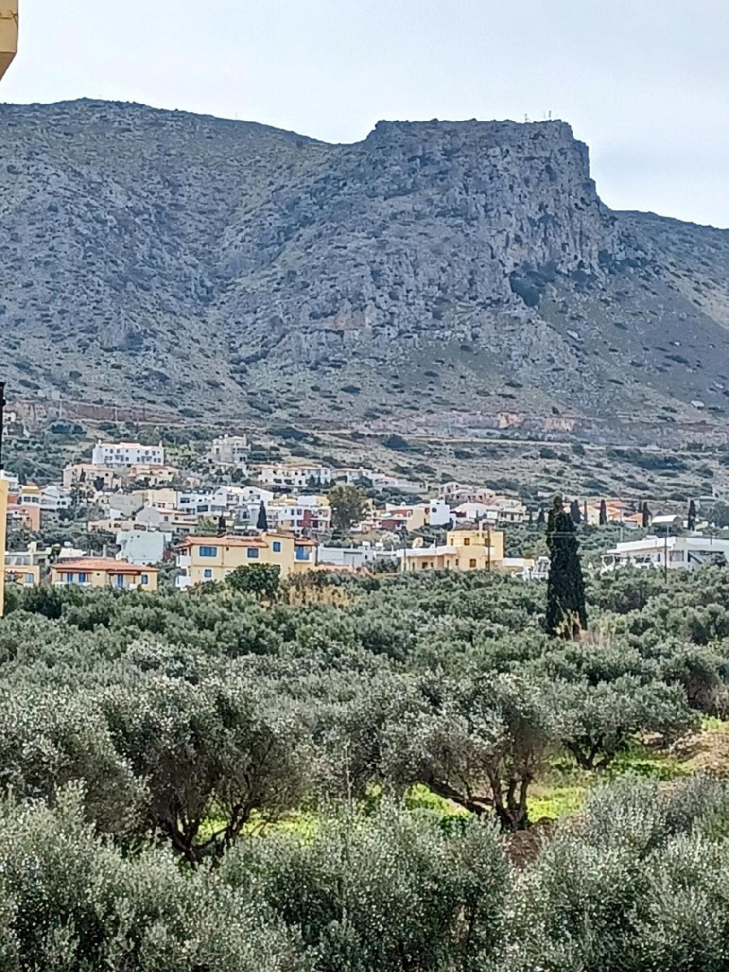 Aparthotel Olympic Star Hersonissos  Pokój zdjęcie
